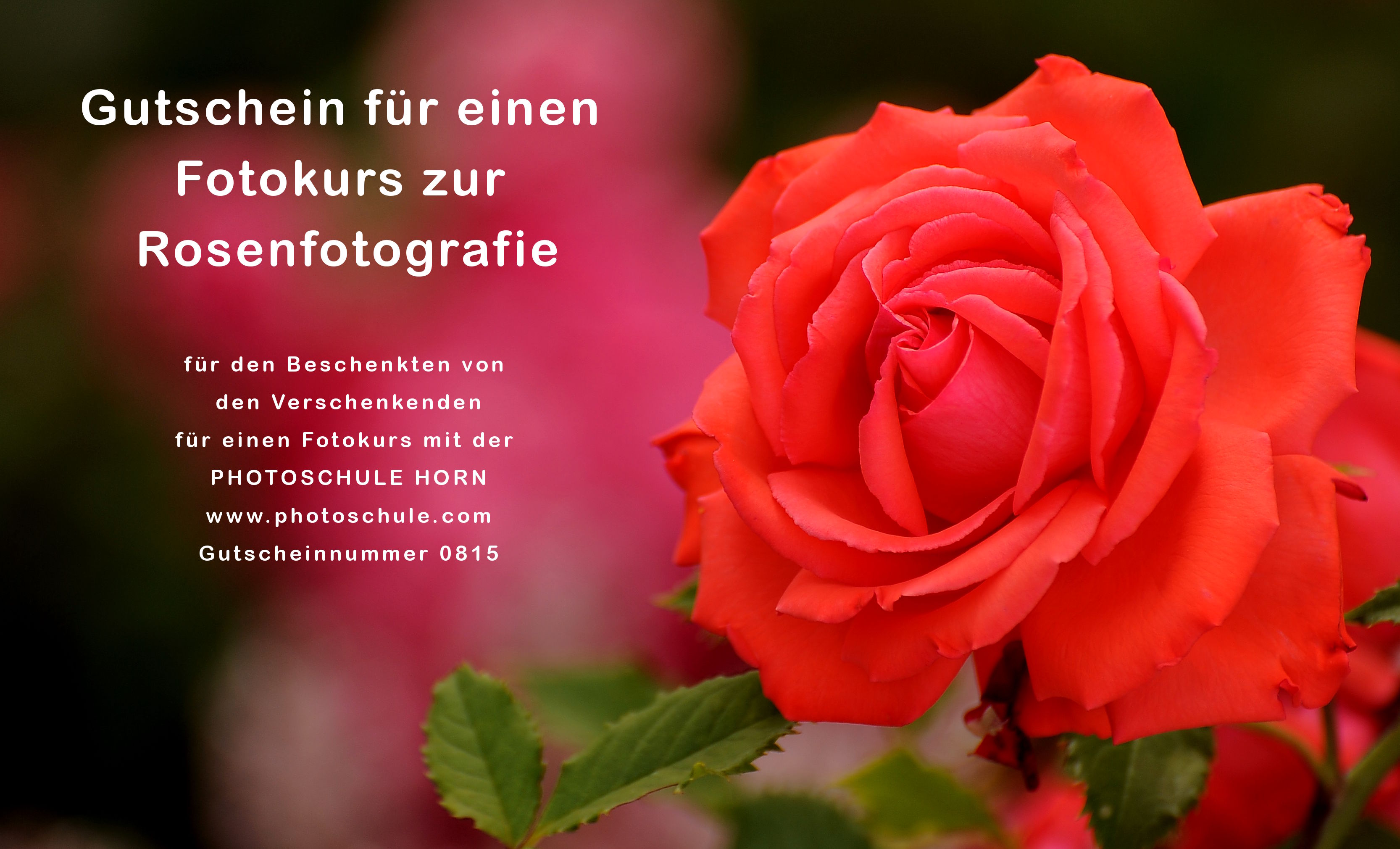 Gutschein Fotokurs Rosenfotografie