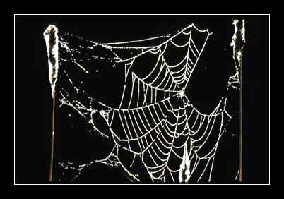 Grafische Gestaltung der Motive in Verbindung mit Licht