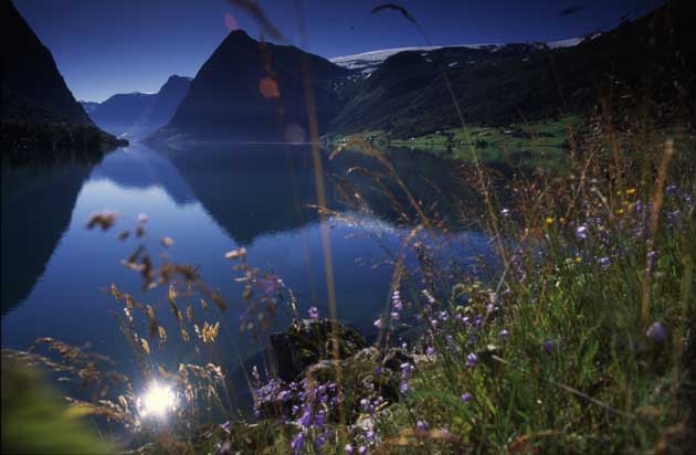 Fr�hling am Sognefjord