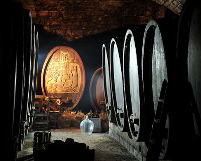 fotokurs rheingau hessen weinromantik frankfurt rhein main