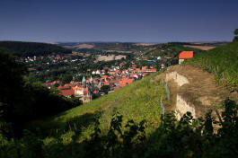 Fotokurs Weinlandschaft Saale-Unstrut 