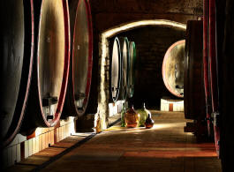 fotokurs wein