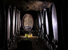 Fotokurs Weinlandschaft Saale-Unstrut 