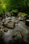 fotokurs landschaftsfotografie thueringen fluss farn