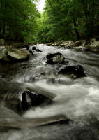 fotokurs thueringer wald ostthueringen fluss schwarzatal digitale landschaftsfotografie