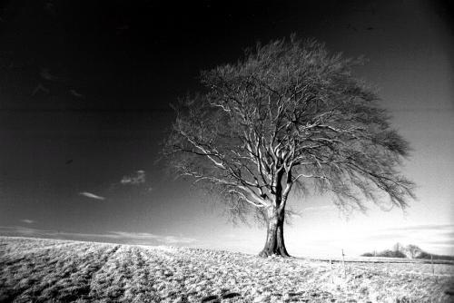 fotokurs thueringen landschaftsfotografie jena erfurt saalfeld