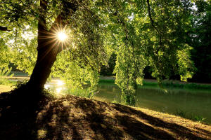 fotokurs gotha goldene stunde