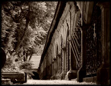 fotokurs halle friedhof campo santo 