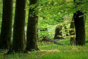 fotokurse thüringen eisenach