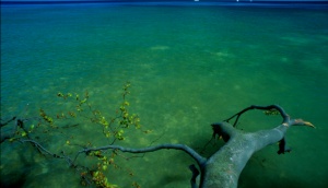Fotoreise Ostseeküste Rügen