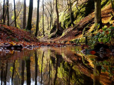 fotokurs thueringen landschaftsfotografie spiegelung