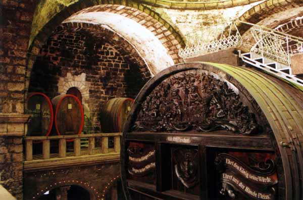 fotokurs sachen-anhalt naumburg freyburg halle leipzig 
