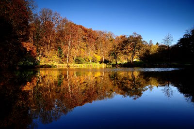 fotokurs landschaftsfotografie frankfurt herbst